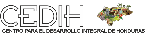 CEDIH logo2